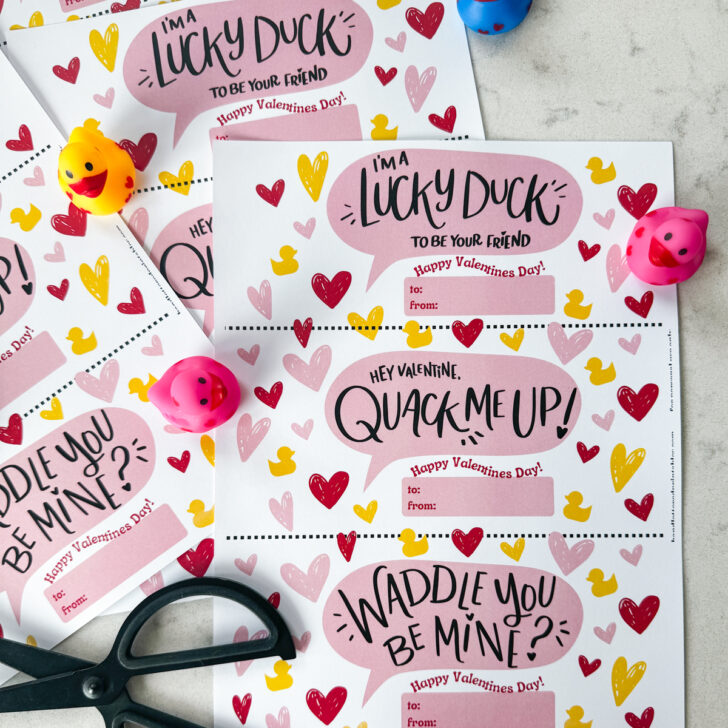 duck themed printable valentines day cards. card shown reads: waddle you be mine, hey valentine you quack me up and lucky to be your friend- all with a small happy valentines day. shown with rubber duckies, shown ready to be cut to size