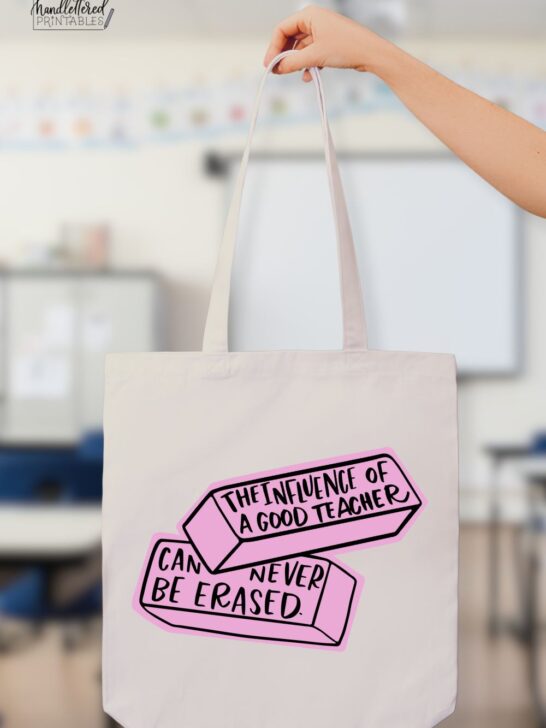 'The influence of a good teacher can never be erased' hand lettered SVG design in black iron on vinyl with pink background on tote bag held in front of classroom